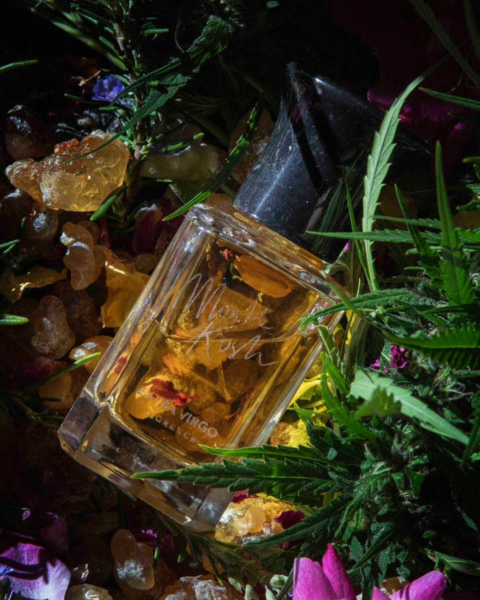 Extra Virgo Monte Kush Extrait de Parfum - Stéle