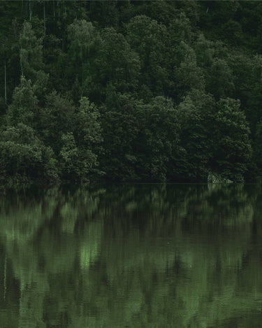 Ode Ona Dawn Earth Eau de Parfum at Stéle