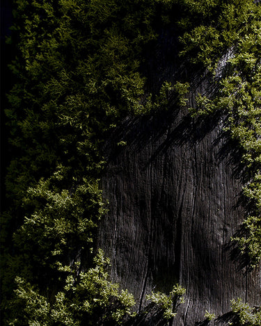 Ode Ona Dawn Earth Eau de Parfum at Stéle