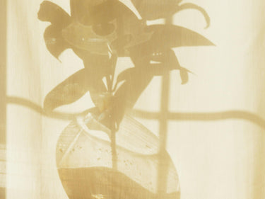 Vallense Sun Eau de Parfum at Stéle