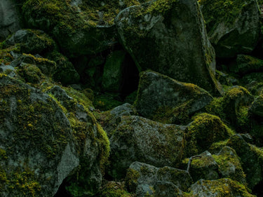 Vallense Source Eau de Parfum at Stéle