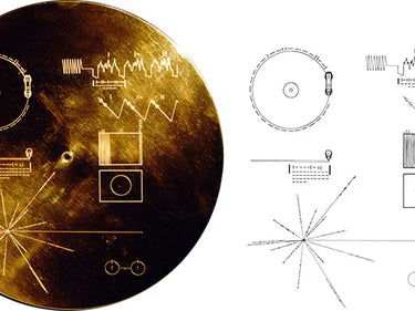 Neandertal Us Eau De Parfum at Stéle
