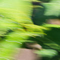 .Oddity Discovery Set - Stéle
