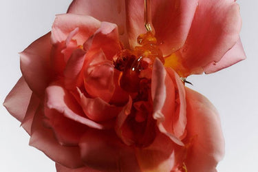 Bleu Nour Cendre et Or Eau de Parfum at Stéle