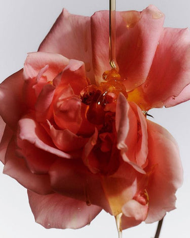 Bleu Nour Cendre et Or Eau de Parfum at Stéle