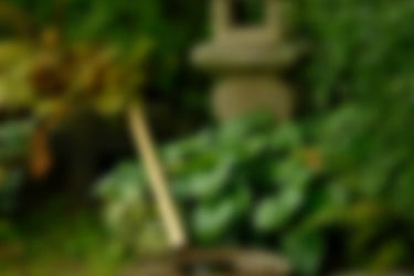 Orika Morning Ceremony Incense at Stéle