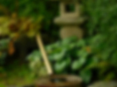 Orika Morning Ceremony Incense at Stéle