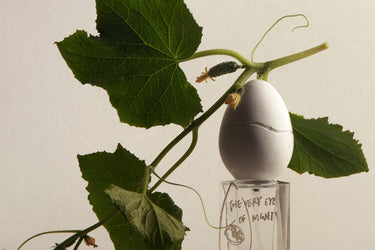 Perfume Who The Very Eye Of Night Eau de Parfum - Stéle