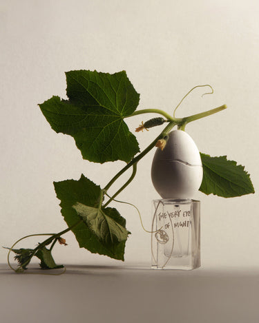 Perfume Who The Very Eye Of Night Eau de Parfum - Stéle