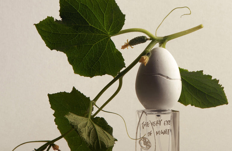 Perfume Who The Very Eye Of Night Eau de Parfum - Stéle