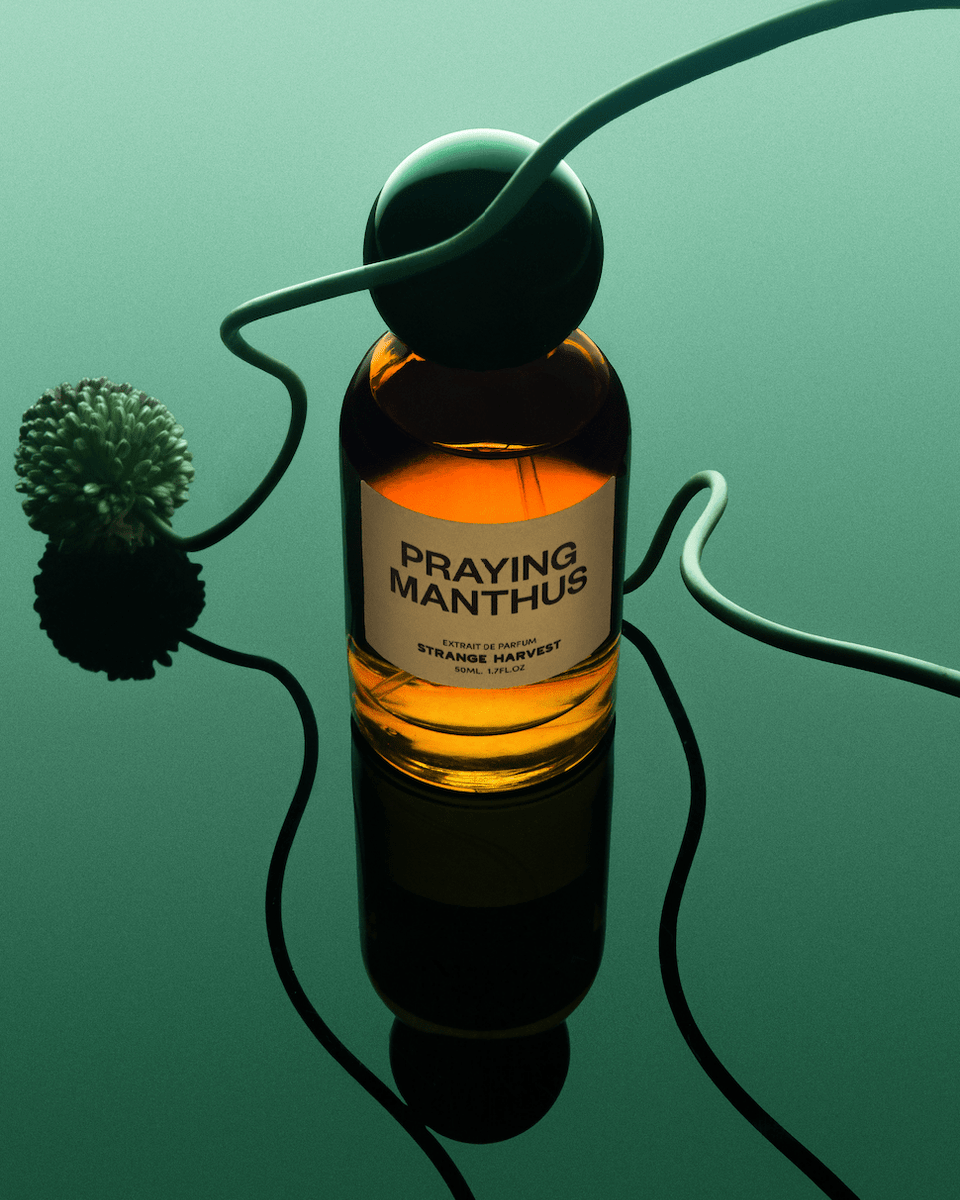 Strange Harvest Praying Manthus Extrait de Parfum - Stéle
