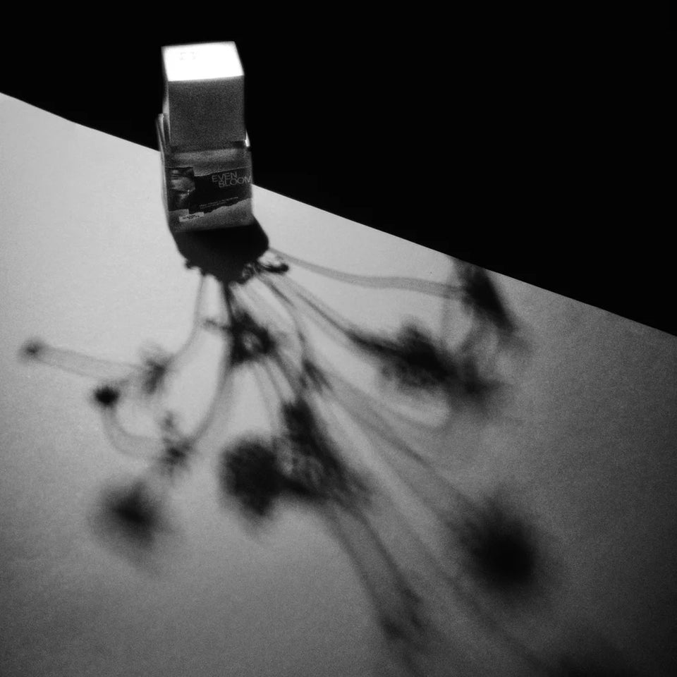 NOMR Evenbloom Eau de Parfum - Stéle