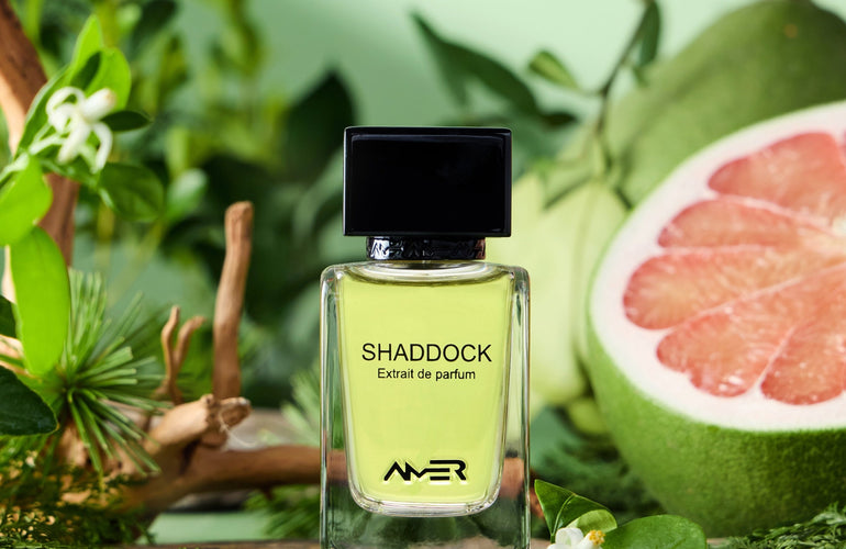Amer Shaddock Extrait de Parfum - Stéle