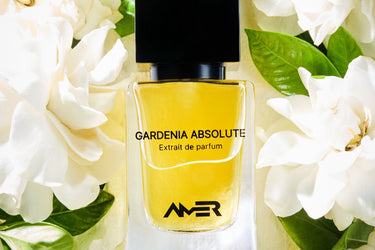 Amer Gardenia Absloute Extrait De Parfum - Stéle