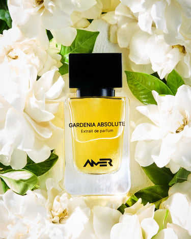 Amer Gardenia Absloute Extrait De Parfum - Stéle