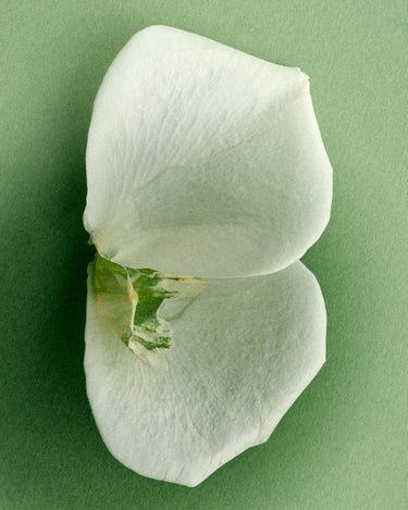 Racyne Garden Song Eau de Parfum - Stéle