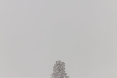 Circle of Lim Lost Generation Eau de Cologne at Stéle