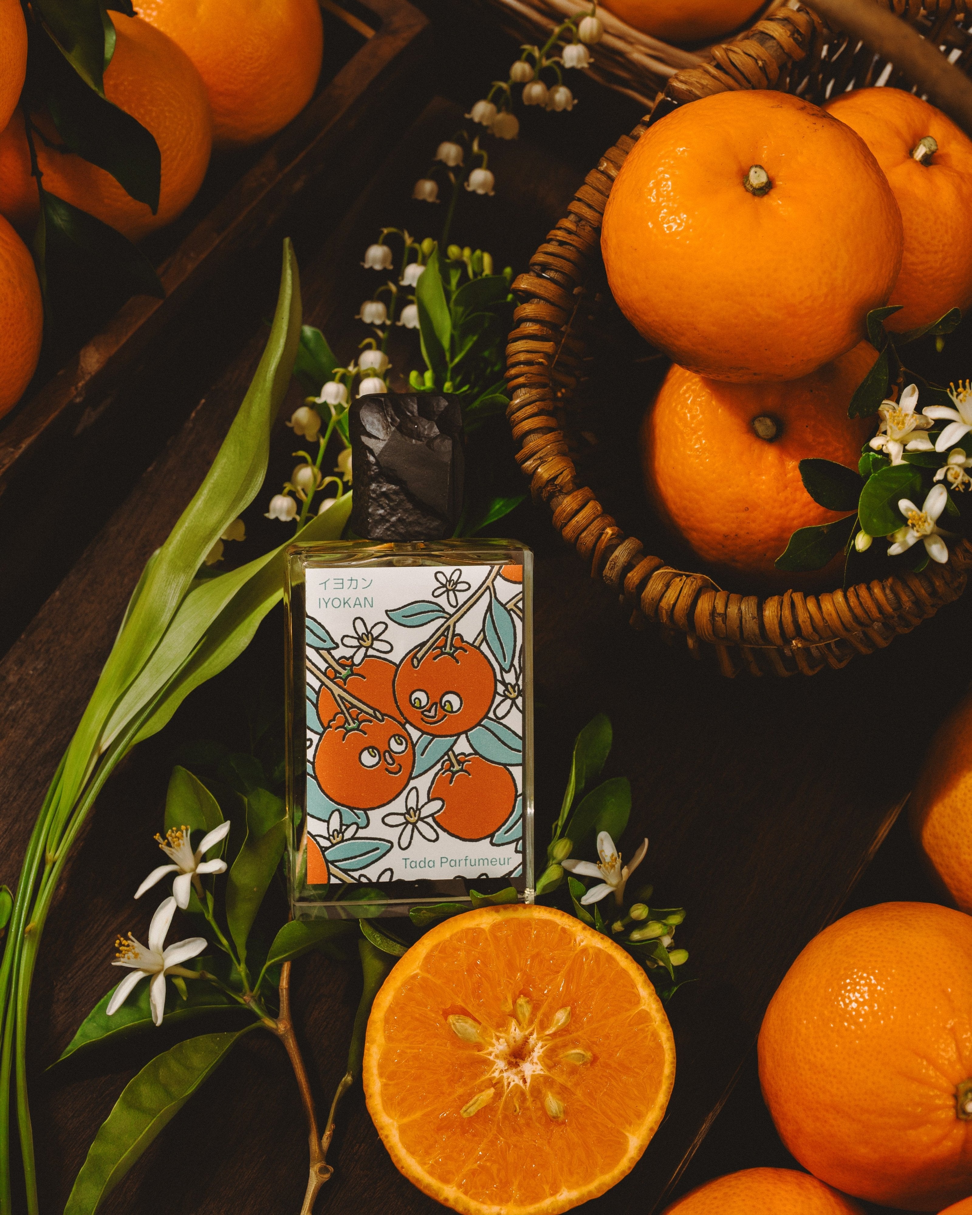Tada Parfumeur Iyokan Eau de Parfum | Citrus Softness – Stéle
