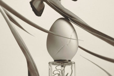 Perfume Who Silex Eau de Parfum - Stéle