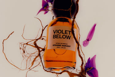 Strange Harvest Violet Below Extrait de Parfum - Stéle
