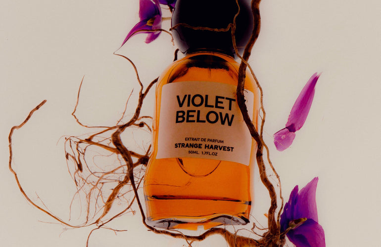 Strange Harvest Violet Below Extrait de Parfum - Stéle
