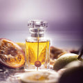 L'Atelier Möbius Passion Chypre Extrait de Parfum - Stéle