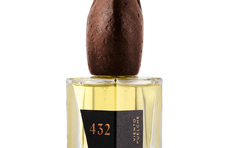 432 Perfumería Mestiza Viento Puelche Extrait de Parfum - Stéle