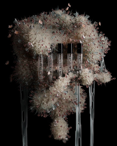 Fischersund Faux Flora Discovery Set at Stéle