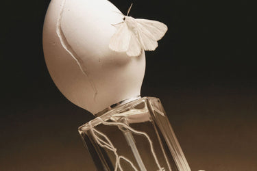 Perfume Who Meshes of the Afternoon Eau de Parfum - Stéle