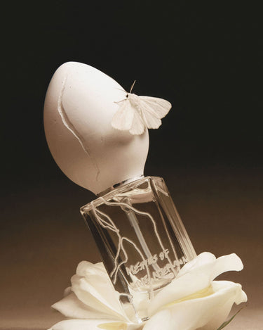 Perfume Who Meshes of the Afternoon Eau de Parfum - Stéle
