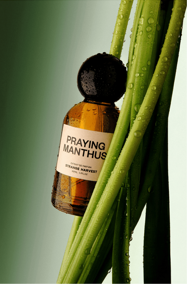 Strange Harvest Praying Manthus Extrait de Parfum - Stéle