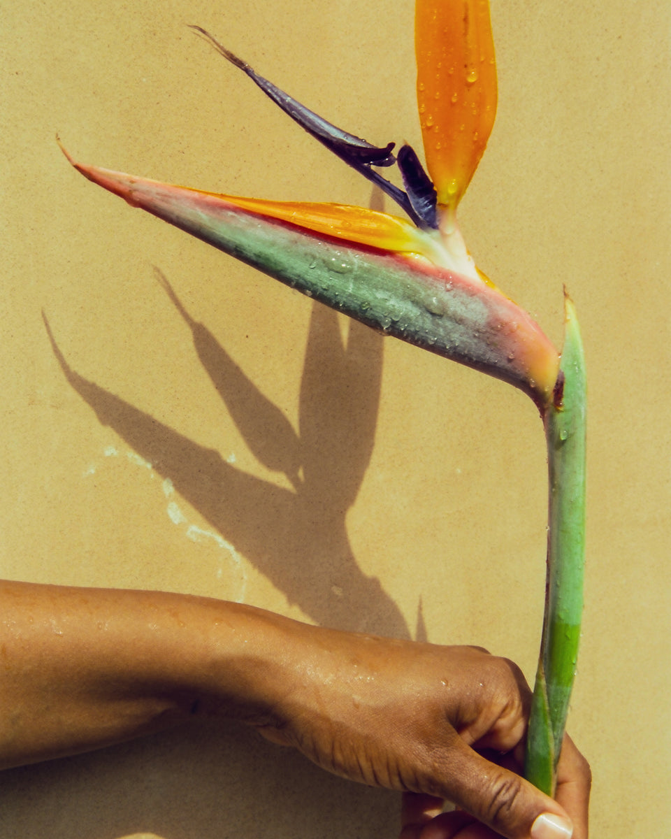 Maya Njie Tropica Eau De Parfum - Stéle