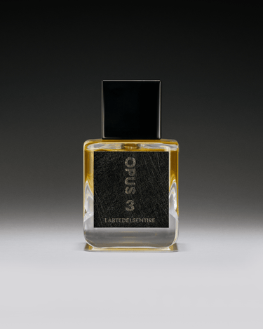 Lartedelsentire Opus 3 Eau de Parfum - Stéle