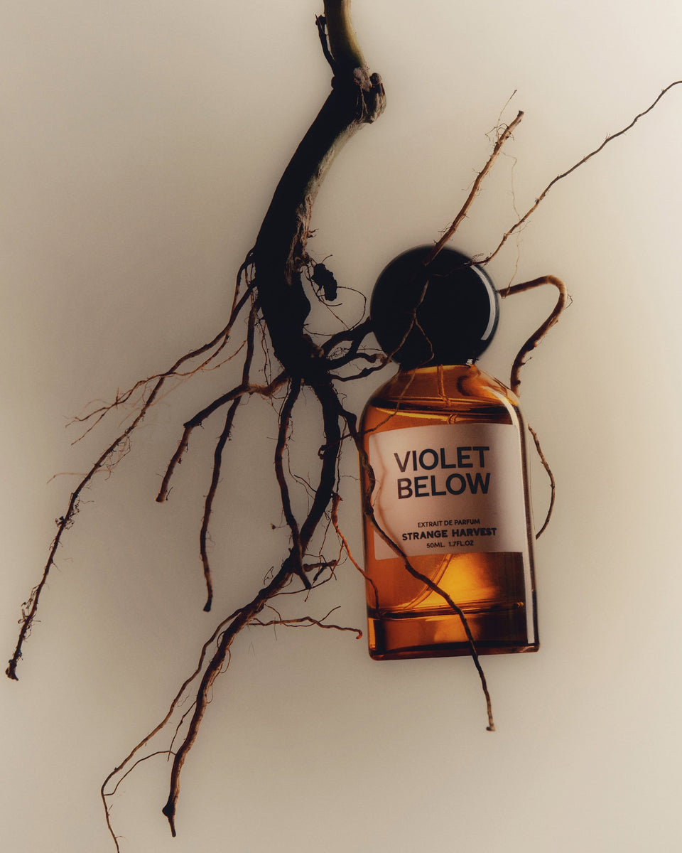 Strange Harvest Violet Below Extrait de Parfum - Stéle