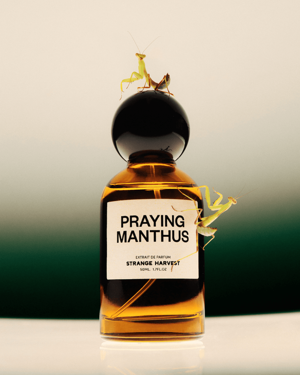Strange Harvest Praying Manthus Extrait de Parfum - Stéle