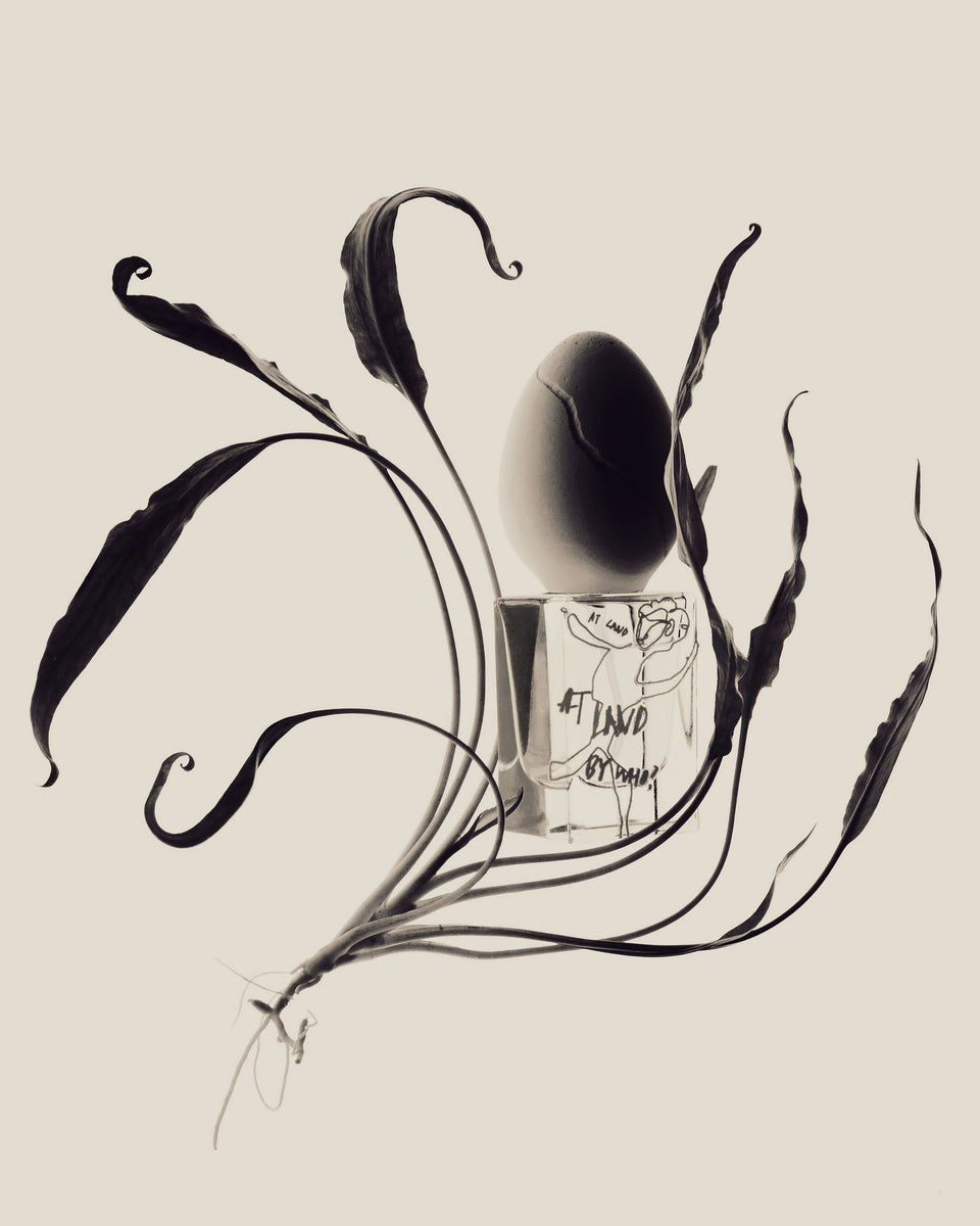 Perfume Who At Land Eau de Parfum - Stéle