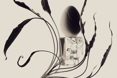 Perfume Who At Land Eau de Parfum - Stéle