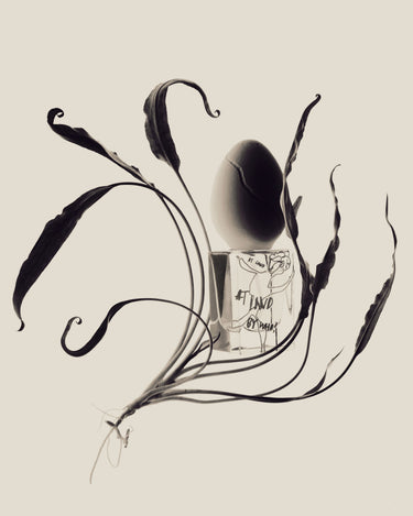 Perfume Who At Land Eau de Parfum - Stéle