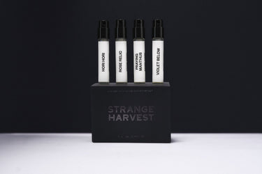 Strange Harvest Discovery Set - Stéle