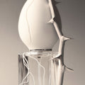 Perfume Who Meshes of the Afternoon Eau de Parfum - Stéle