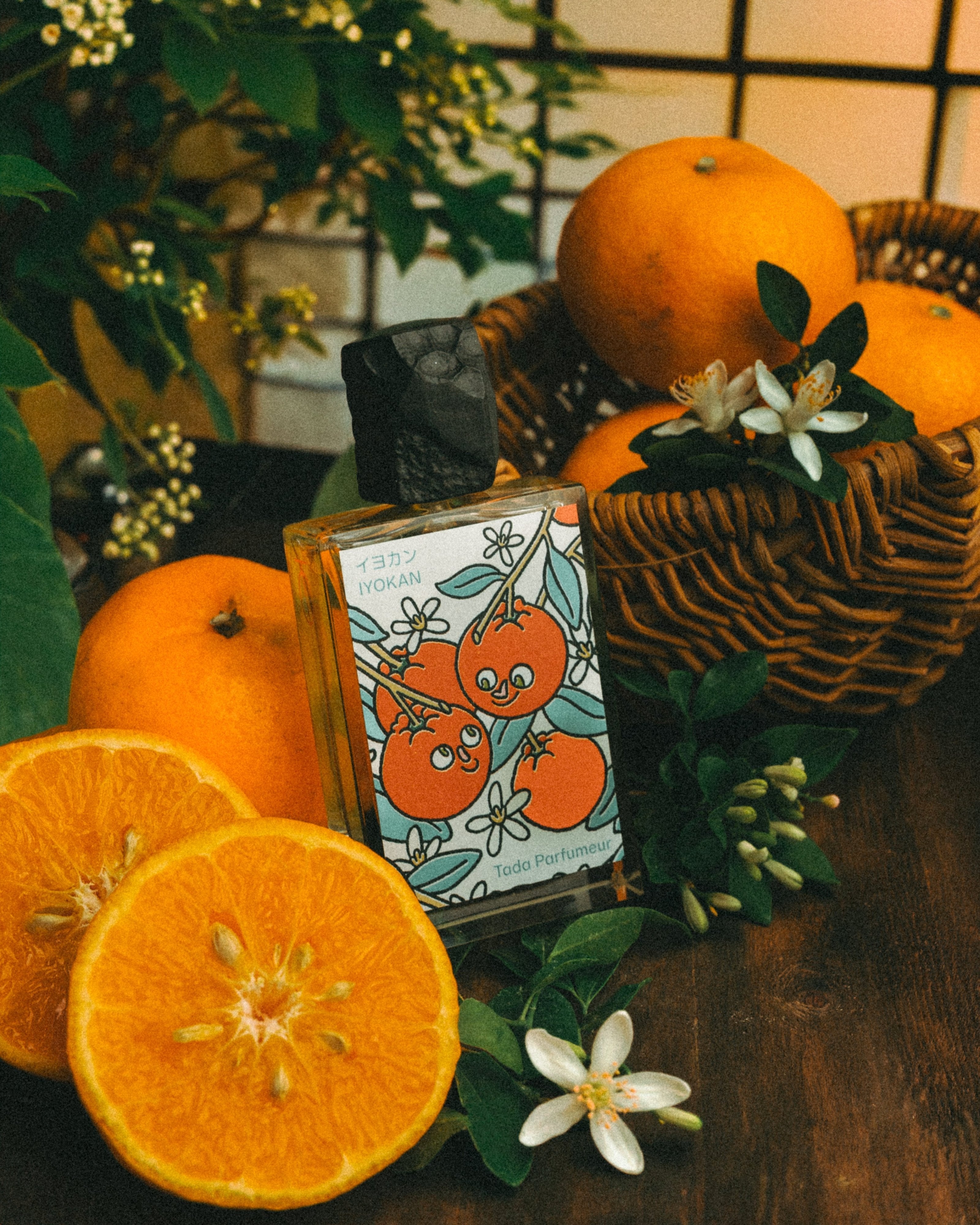 Tada Parfumeur Iyokan Eau de Parfum | Citrus Softness – Stéle