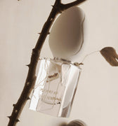 Perfume Who Meshes of the Afternoon Eau de Parfum - Stéle