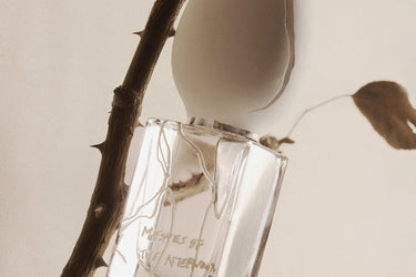 Perfume Who Meshes of the Afternoon Eau de Parfum - Stéle
