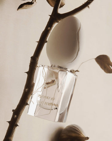 Perfume Who Meshes of the Afternoon Eau de Parfum - Stéle