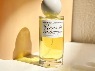 Universal Flowering Venus In Tuberose Eau de Parfum - Stéle