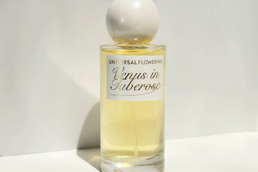 Universal Flowering Venus In Tuberose Eau de Parfum - Stéle