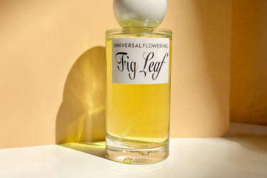 Universal Flowering Fig Leaf Eau de Parfum - Stéle