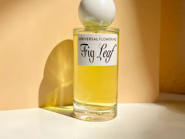 Universal Flowering Fig Leaf Eau de Parfum - Stéle