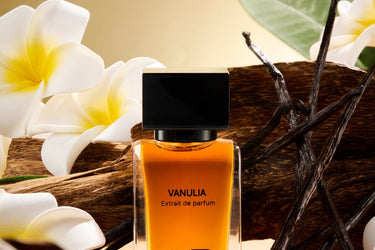 Amer Vanulia Extrait De Parfum - Stéle