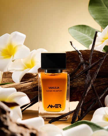 Amer Vanulia Extrait De Parfum - Stéle